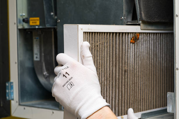 Best Affordable HVAC Duct Cleaning  in Versailles, KY